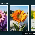 가나와 서아프리카 국가 비교 분석 - Here are three detailed image prompts in English, keeping all your essential guidelines in mind: