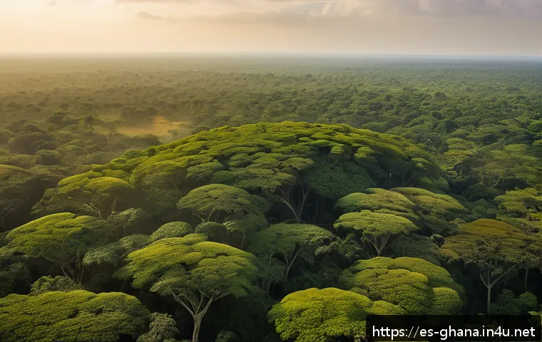 가나에서 드론 촬영이 가능한 지역 관련 이미지 1